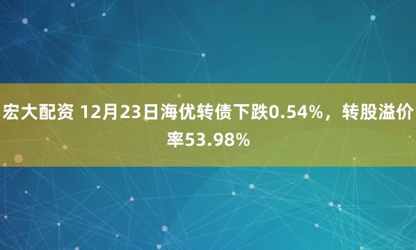 宏大配资 12月23日海优转债下跌0.54%,转股溢价率53.98%